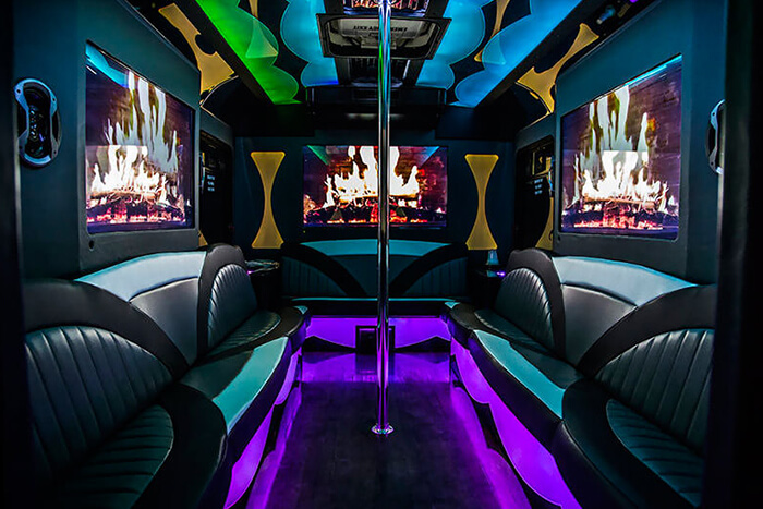 20 passenger party bus interior